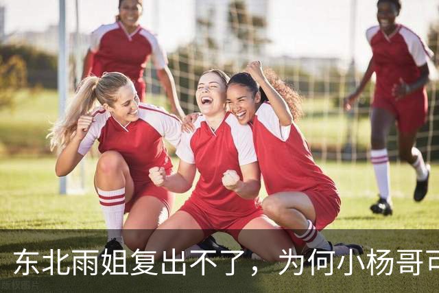 东北雨姐复出不了，为何小杨哥可以？因为他背后有卢文庆