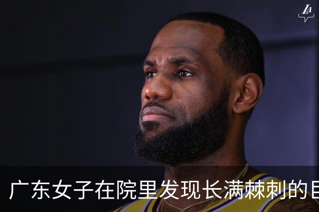 广东女子在院里发现长满棘刺的巨蜥，嫌弃其恶心，网友却说：一只好几万呢！