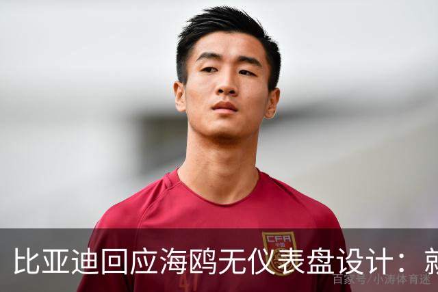 比亚迪回应海鸥无仪表盘设计：就算中控黑屏 关键信息也能显示