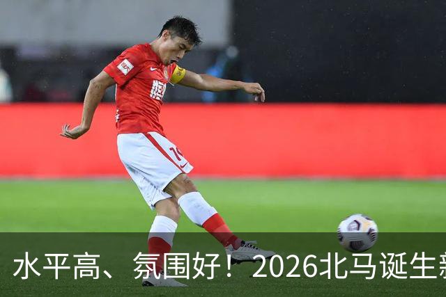 水平高、氛围好！2026北马诞生新纪录，赛事组织获选手认可