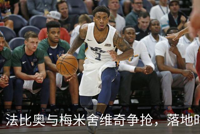 法比奥与梅米舍维奇争抢，落地时脚踝受伤