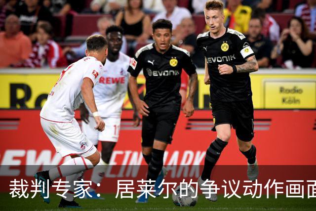 裁判专家：居莱尔的争议动作画面不清晰