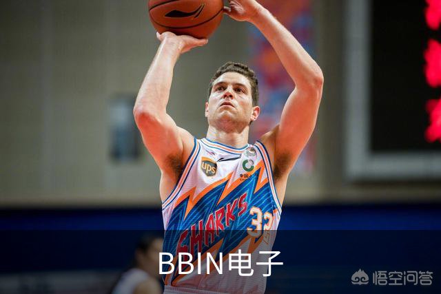 BBIN电子公司简介图片